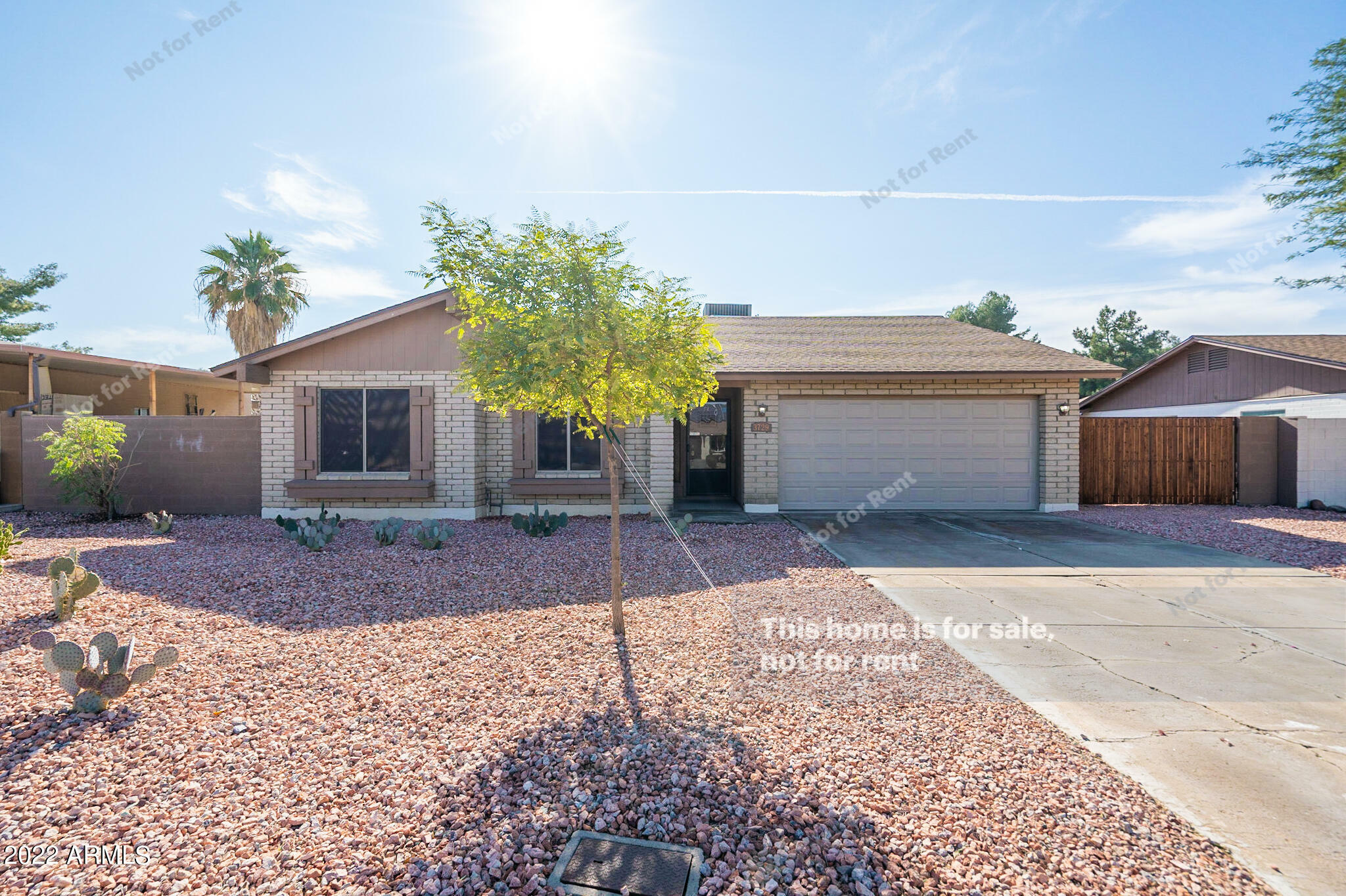 Property Photo:  3729 W Saint John Road  AZ 85308 