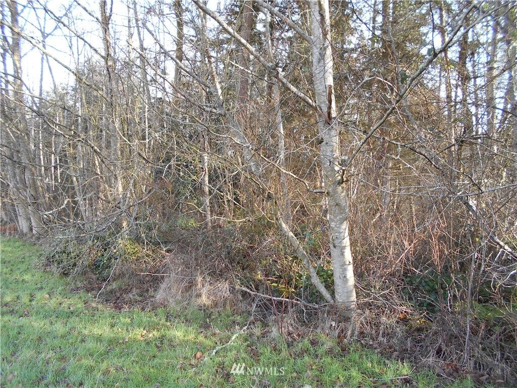Property Photo: 0 Xxx State Route 525 &Amp Aqua View Ln WA 98253