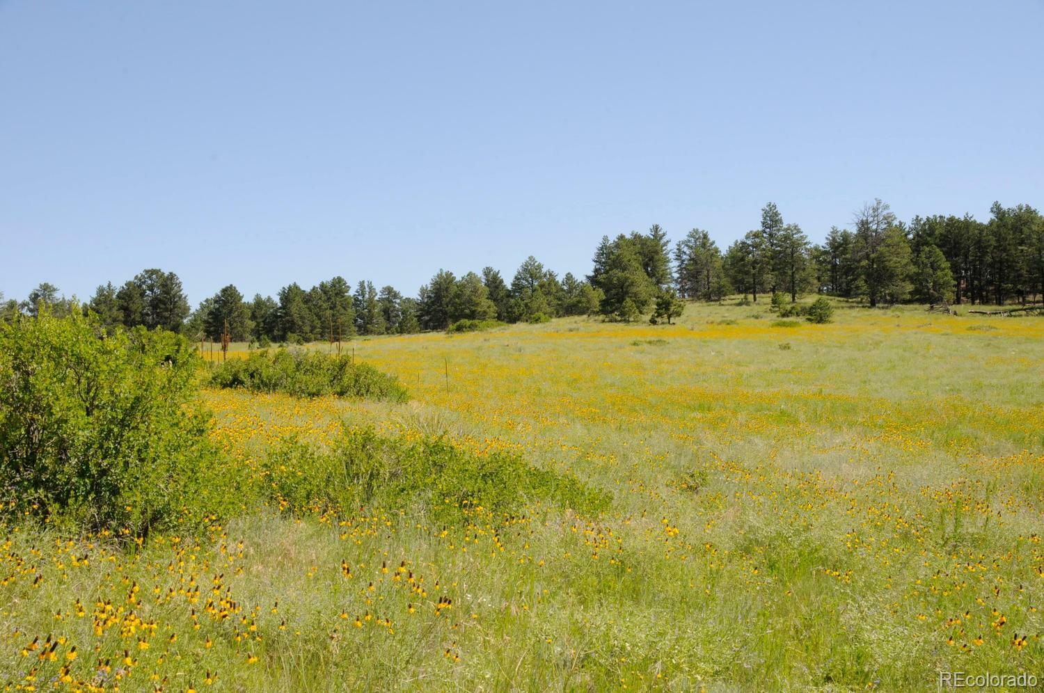 Parcel A Amethyst Road  Deer Trail CO 80105 photo