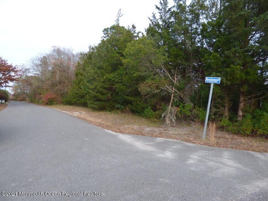 Property Photo:  5 Persimmon Drive  NJ 08087 