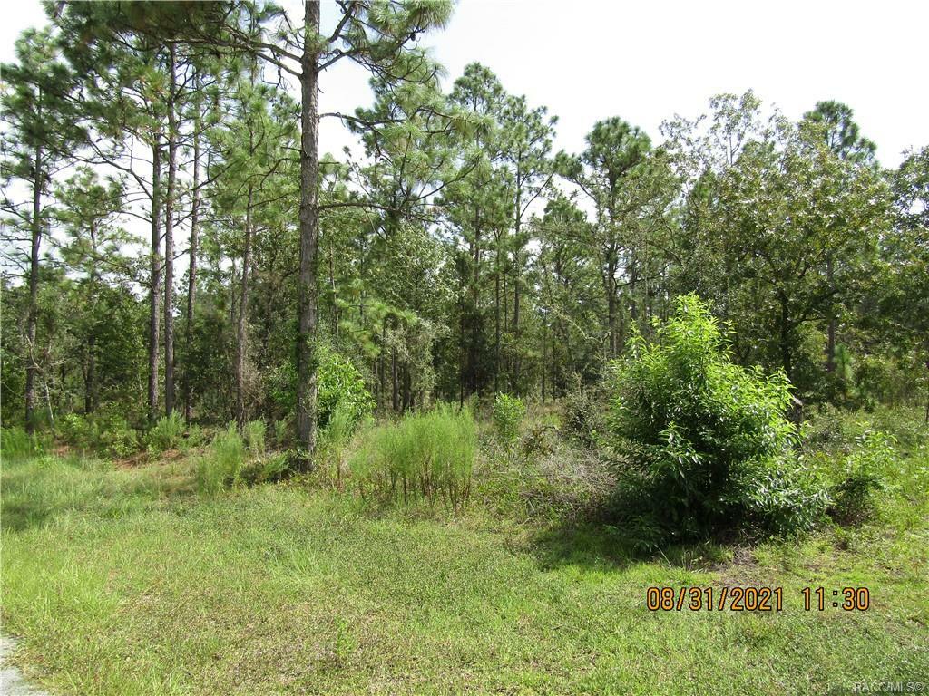 Property Photo:  00 Crocus Lane  FL 34431 