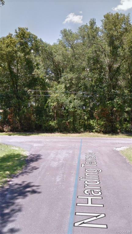 Property Photo:  2343 E Goldpearl Lane  FL 34442 