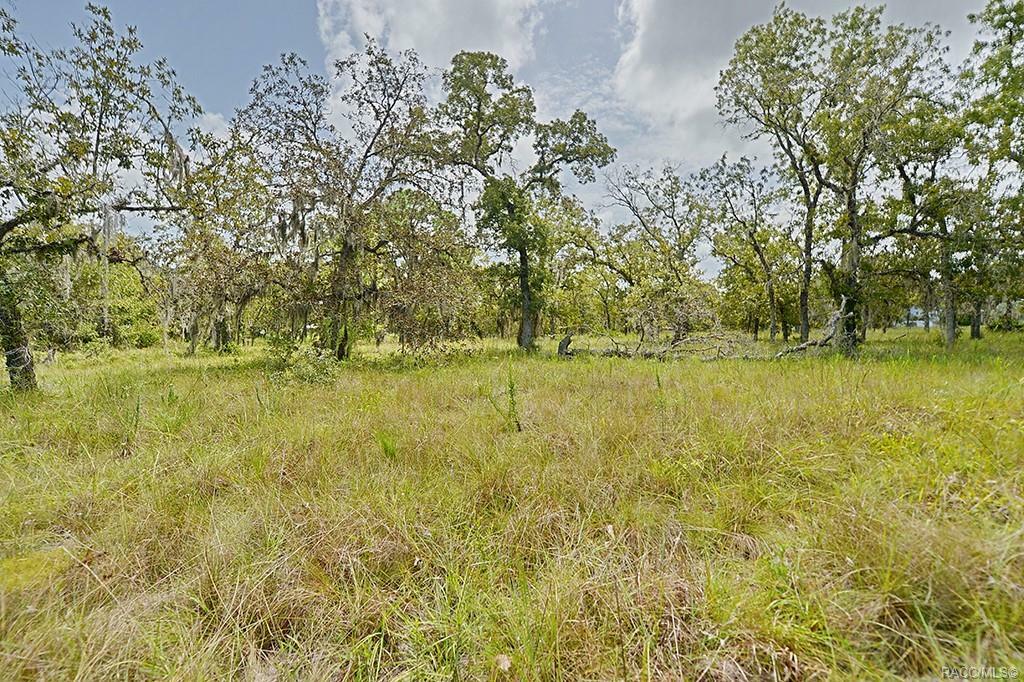 Property Photo:  7197 S Threshold Point  FL 34446 