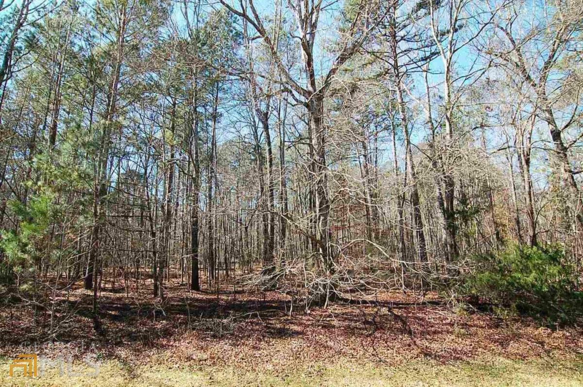 Property Photo:  Lot 54 Broadlands Drive 54  GA 31024 