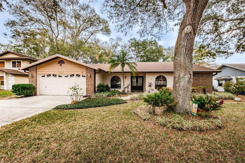 Property Photo:  1825 Laurence Court  FL 33764 