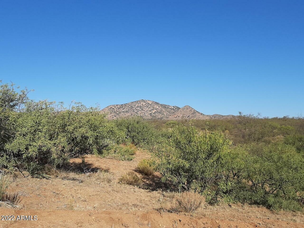 Property Photo:  Tbd N Emory Oak Lane  AZ 85638 