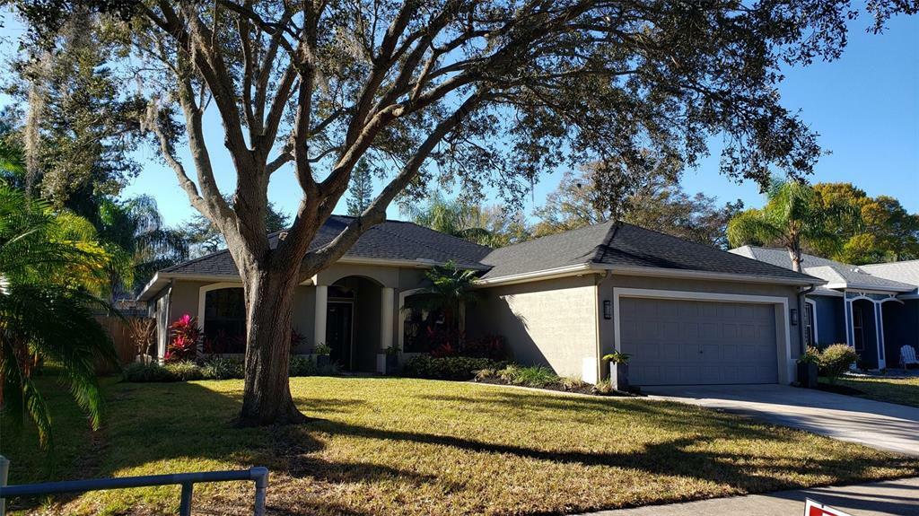 Property Photo:  2227 Misty Court  FL 34698 