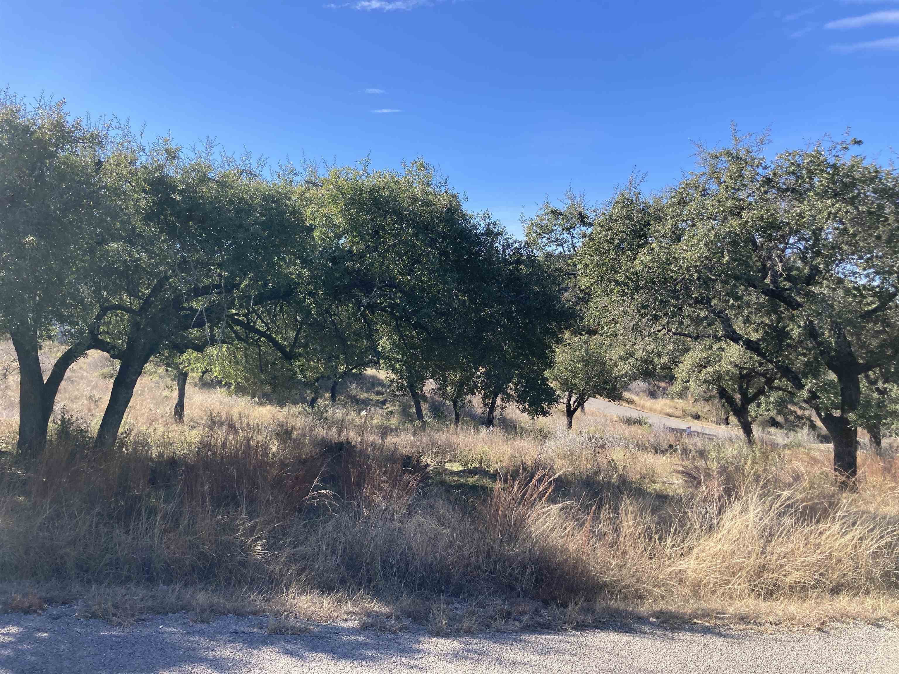 Property Photo:  Lot 33 Prince Peak  TX 78657 