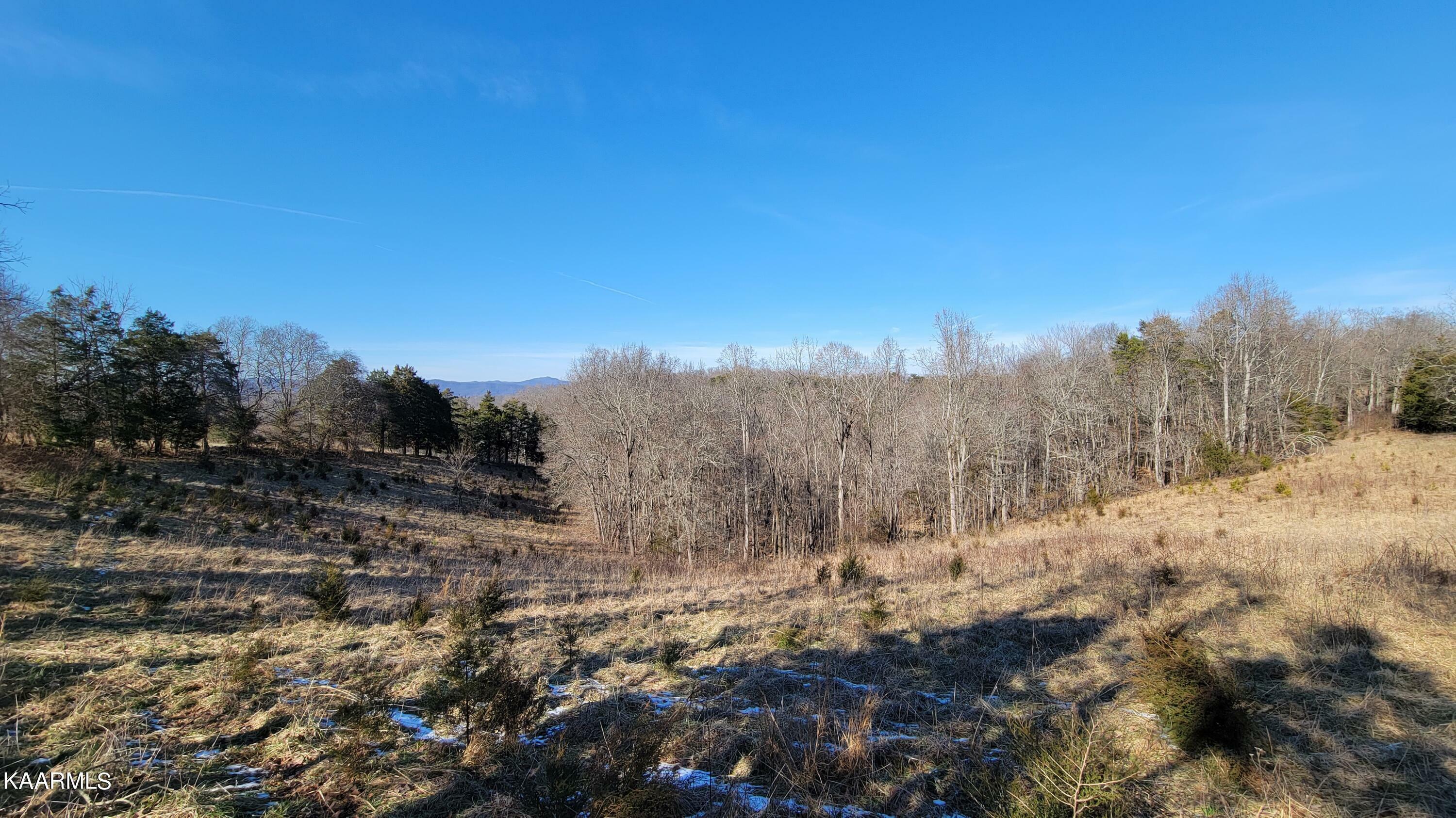 Property Photo:  Chestnut Stump Rd  TN 37766 