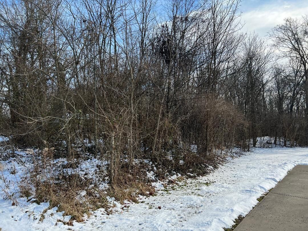 Property Photo: 35 Independence Station Road KY 41051