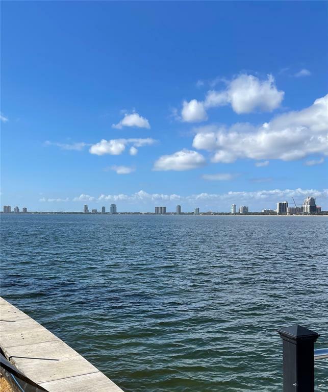 Property Photo: 202 Blanca Avenue FL 33606