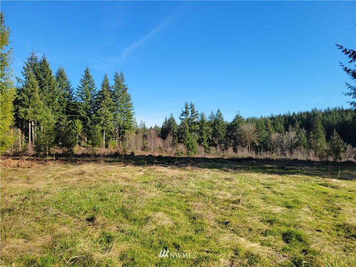 465 29 Sargent Road  Winlock WA 98596 photo