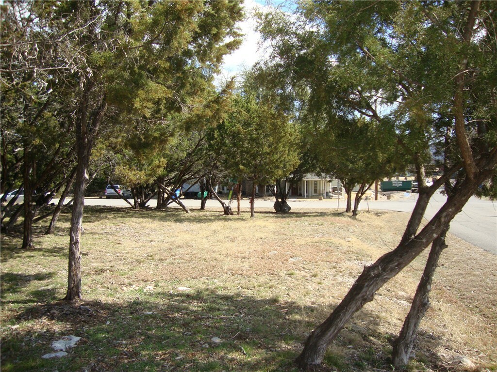 Property Photo:  21408 Lakefront Drive  TX 78645 