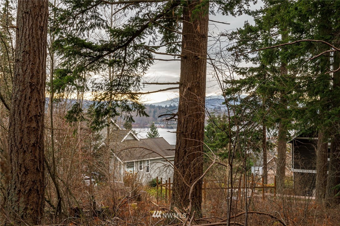 Property Photo: 0 Shepardson Street WA 98226