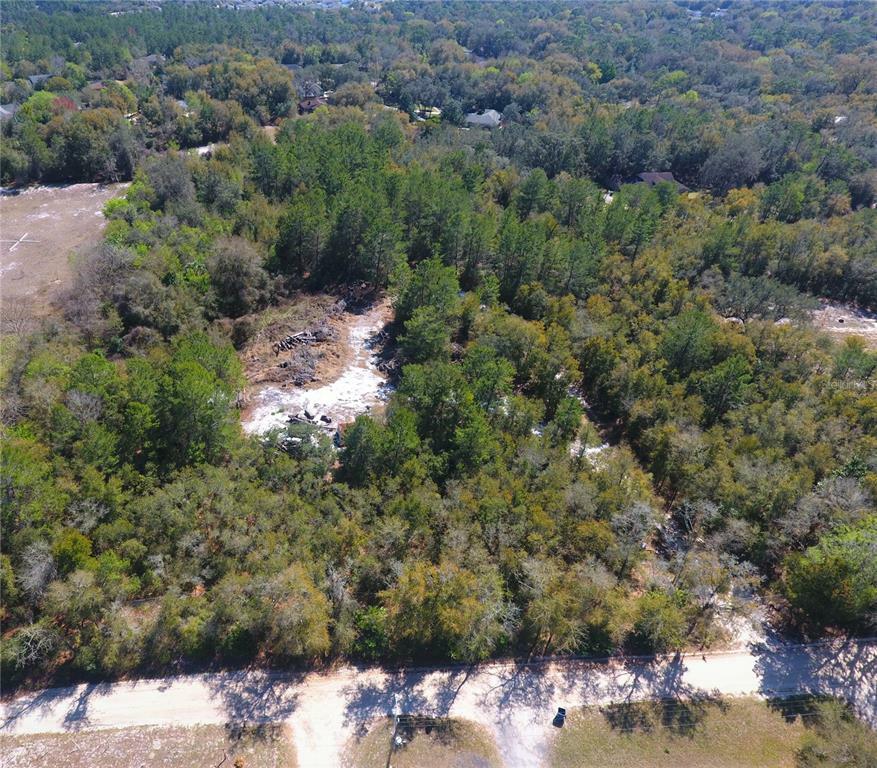 Property Photo:  Lake Mamie Road  FL 32724 