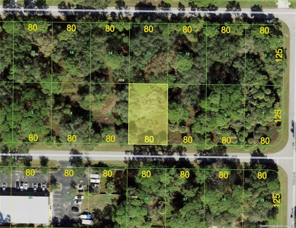 Property Photo: 17070 Byron Avenue FL 33954