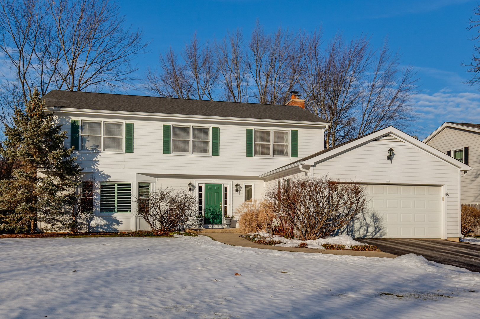 Property Photo: 58 Marion Avenue IL 60045