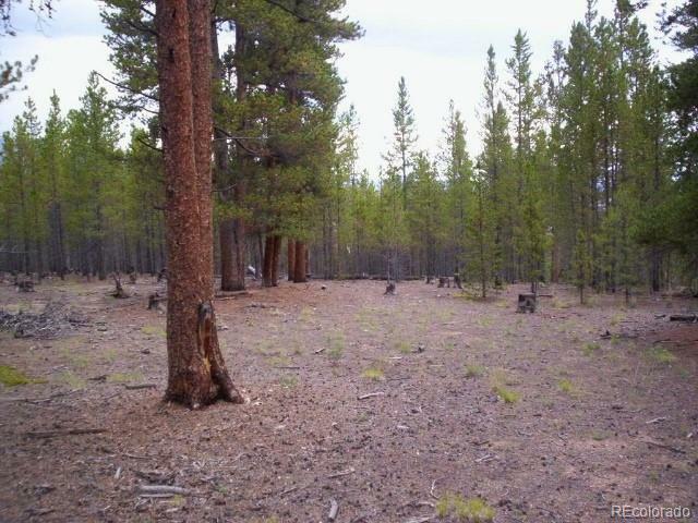 Lot 138 Spruce Drive  Twin Lakes CO 81251 photo