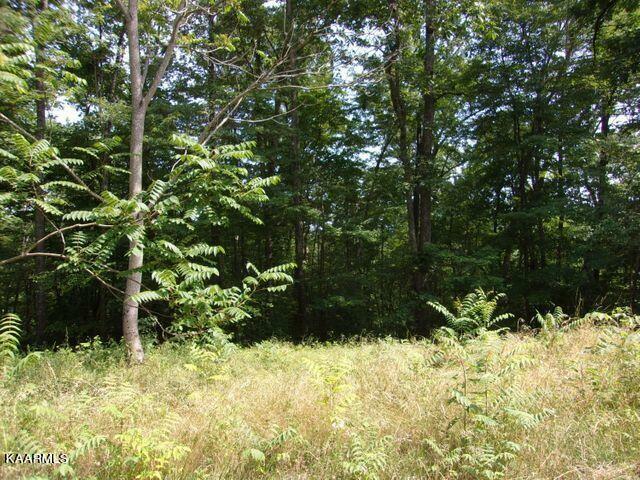 Lot 254 Marble Point Way  New Tazewell TN 37825 photo