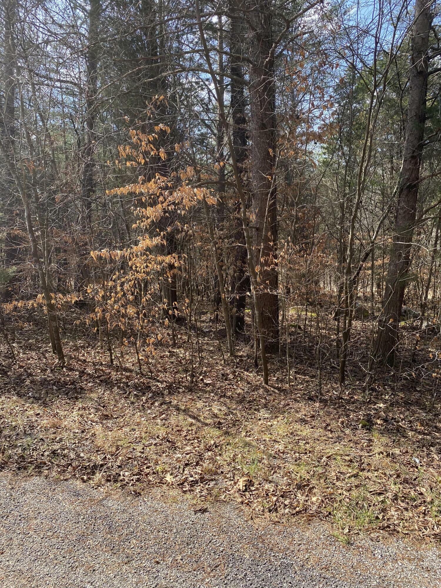 Property Photo:  Lot 20 North Fork Road  KY 42519 