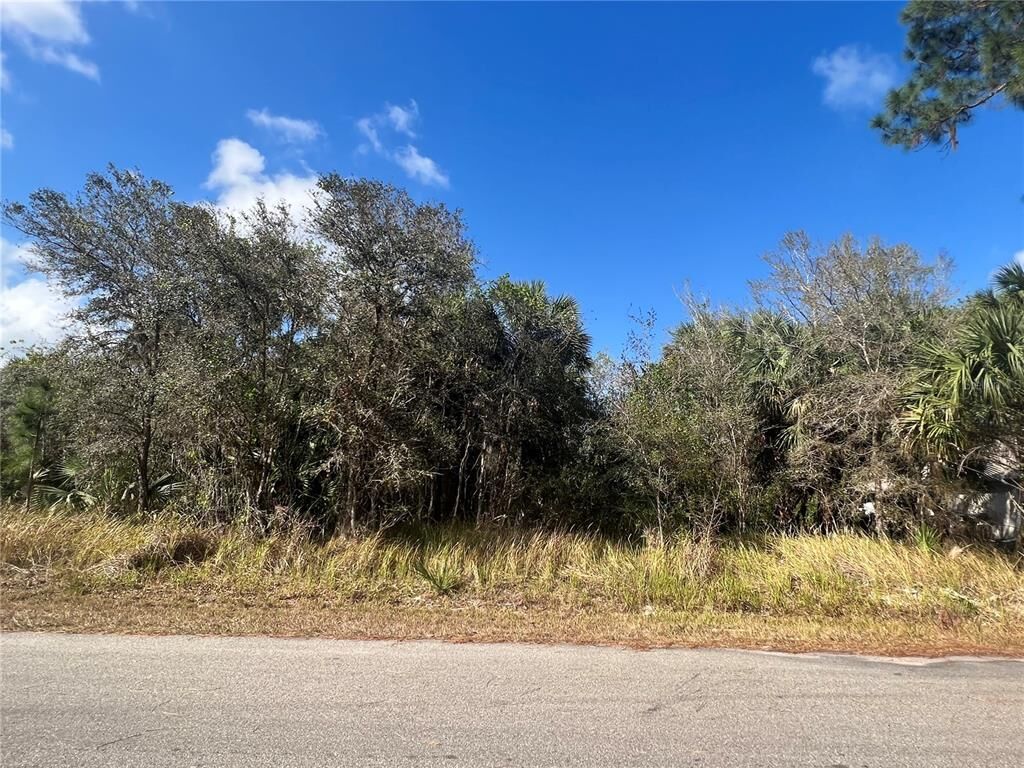 Property Photo:  Baynes Road  FL 34288 