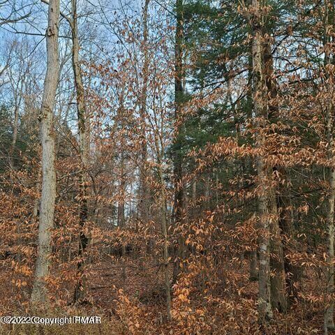 Property Photo: 162 King Arthur Road PA 18610