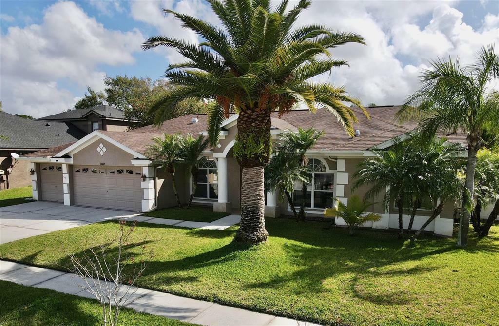 Property Photo:  16465 Turnbury Oak Drive  FL 33556 