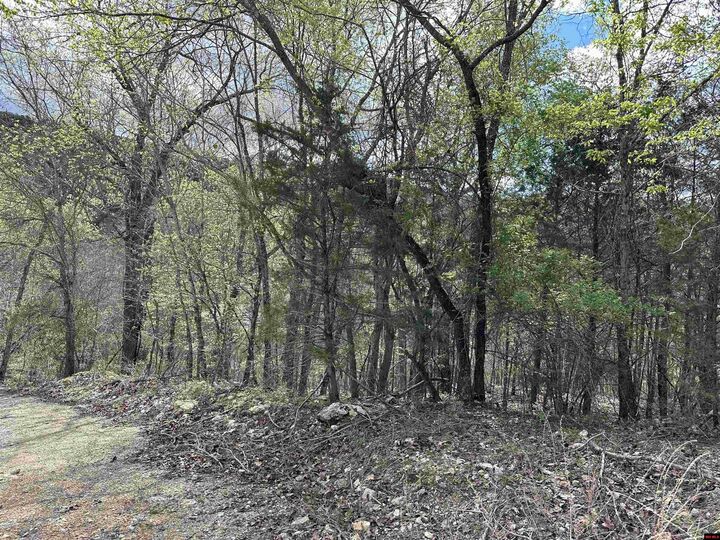 Property Photo:  580-00005-016 Dovewood Lane  AR 72634 