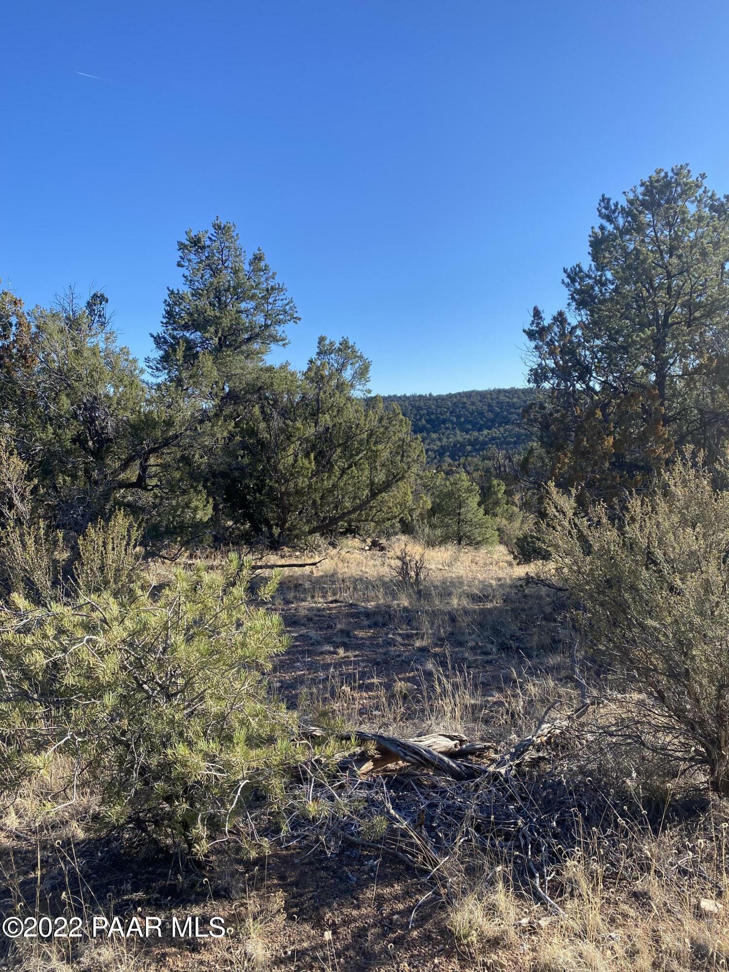 Property Photo:  51874 N Cordero Road  AZ 86337 