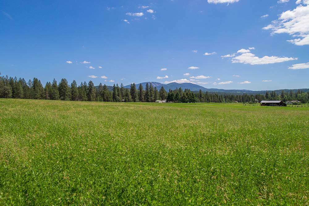 Property Photo: 00 E Nelson Rd WA 99009