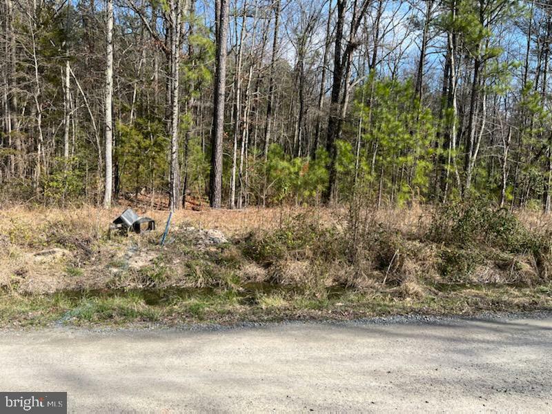 Property Photo:  Lot 4 Blk 8 Lakeview Drive  VA 22443 