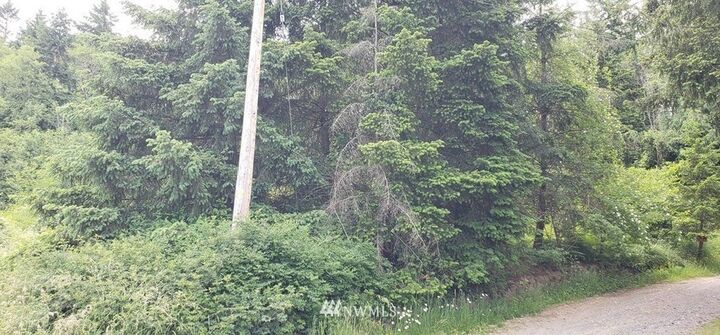 Property Photo:  208 3rd Street W  WA 98530 