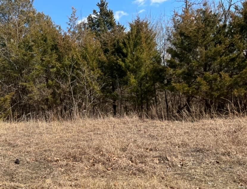 Property Photo: 0 Tinhouse Road MO 63050