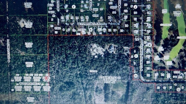 97 N Quiet Pines Point  Crystal River FL 34429 photo