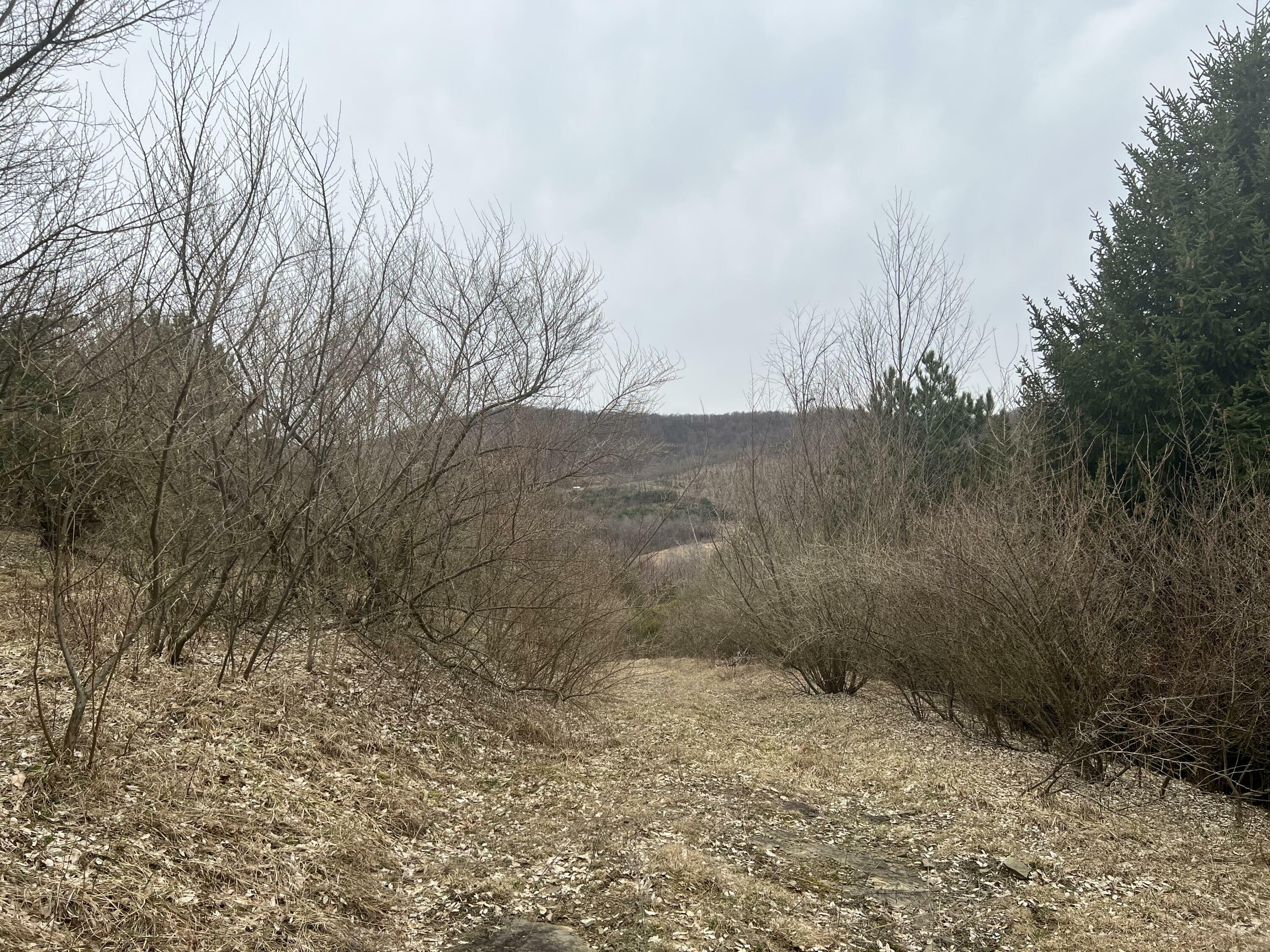 Property Photo:  00 Hetzler Rd  PA 15771 