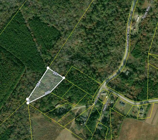 Property Photo:  Lot 0 Harmony Lane  SC 29479 