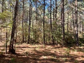 Property Photo:  Lot 4 Big Lake Road  LA 71360 