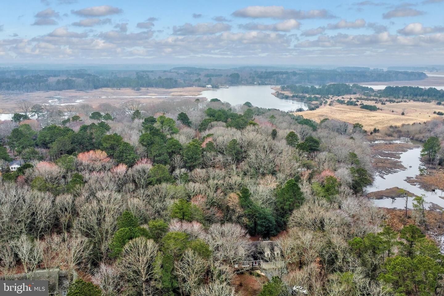 Property Photo:  26189 Pemberton Drive  MD 21801 