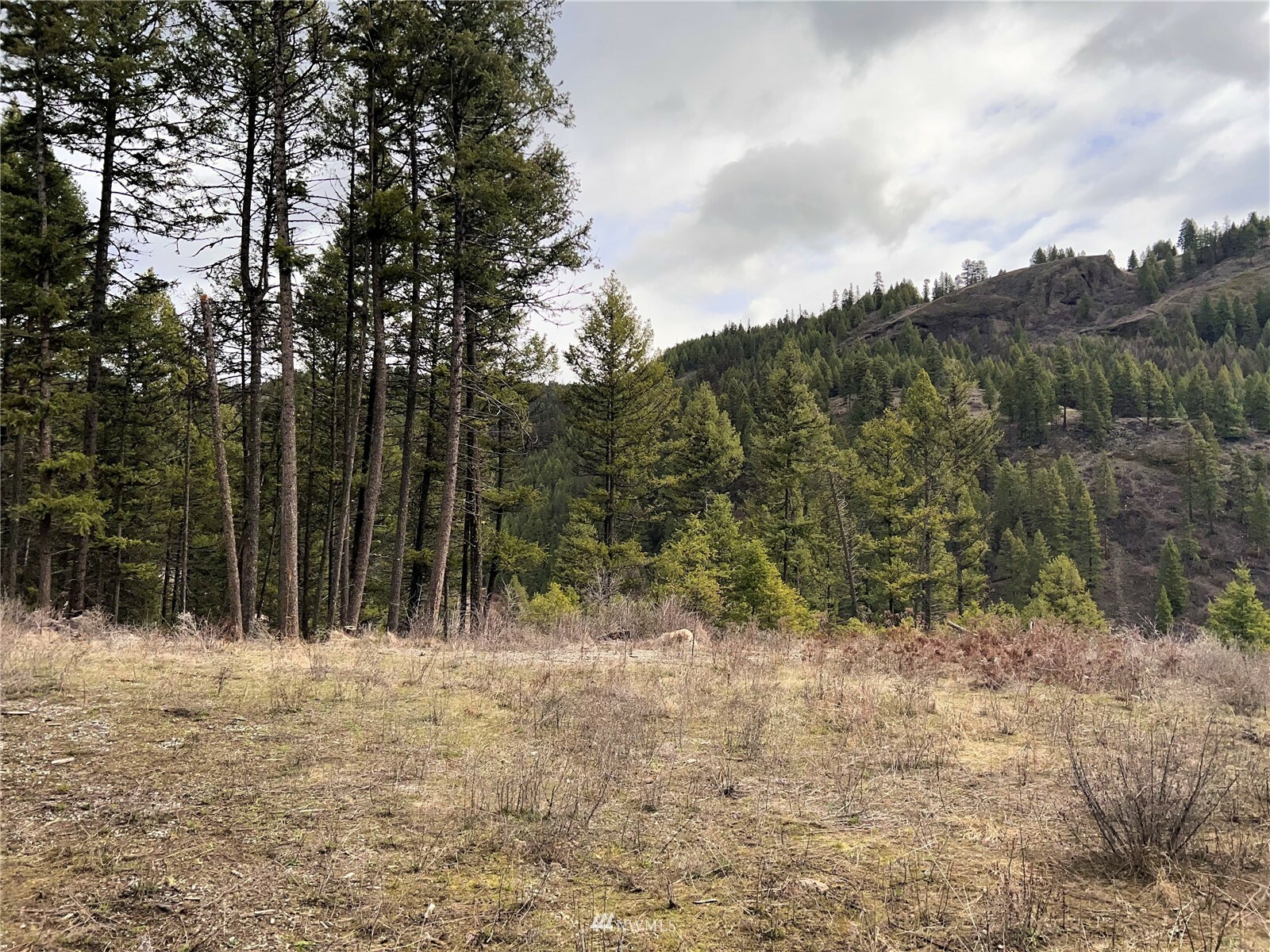 Property Photo: 33 Blissful Trail Lane WA 99166