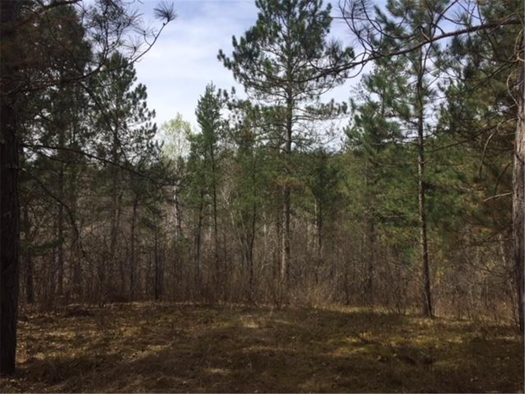Property Photo: Lot 12 Eagle View Court WI 54859
