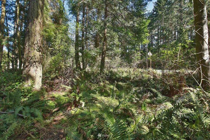 Property Photo:  0 East Harbor Road  WA 98260 