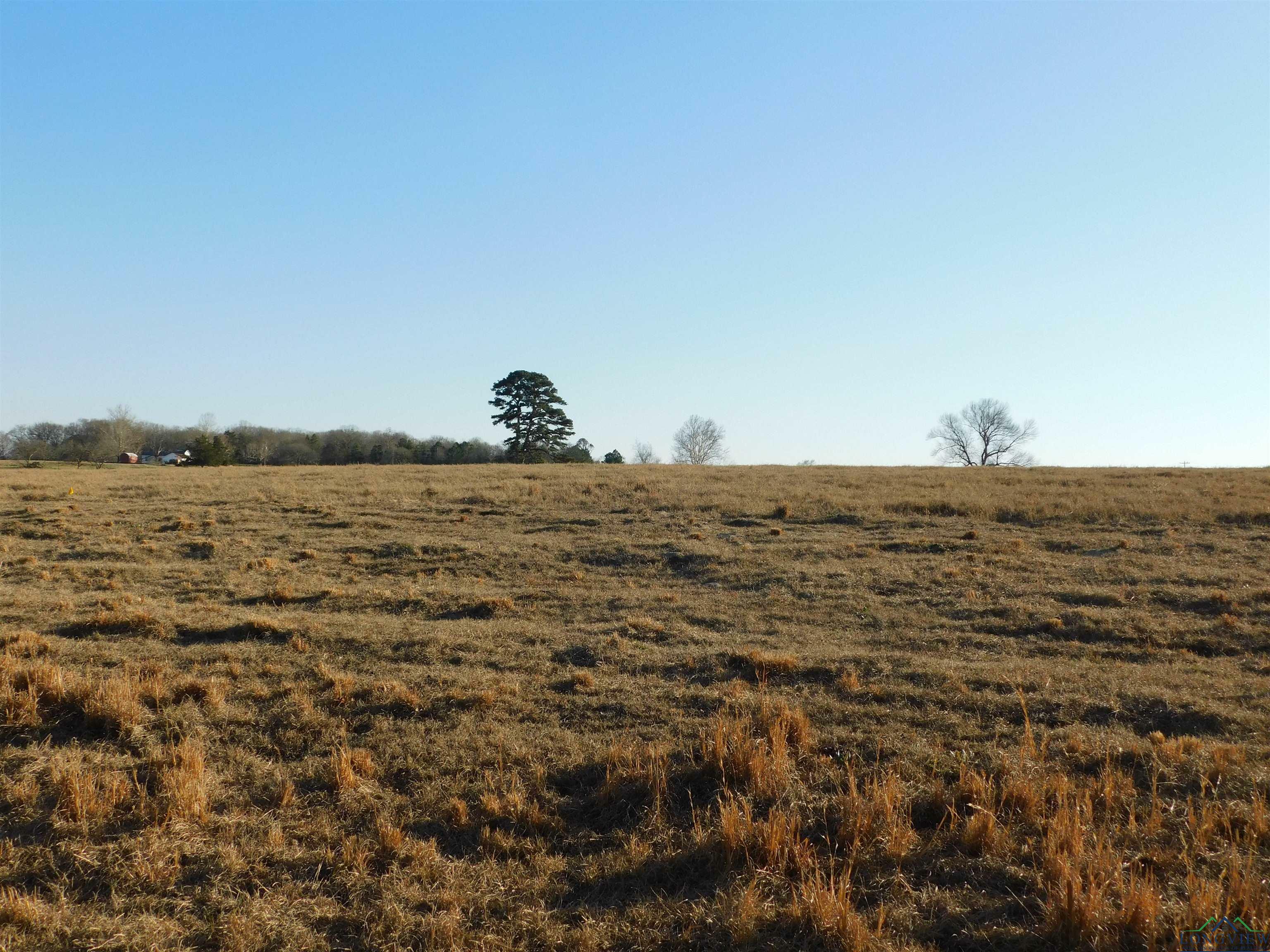 Property Photo:  Tbd Cr 3211  TX 75686 