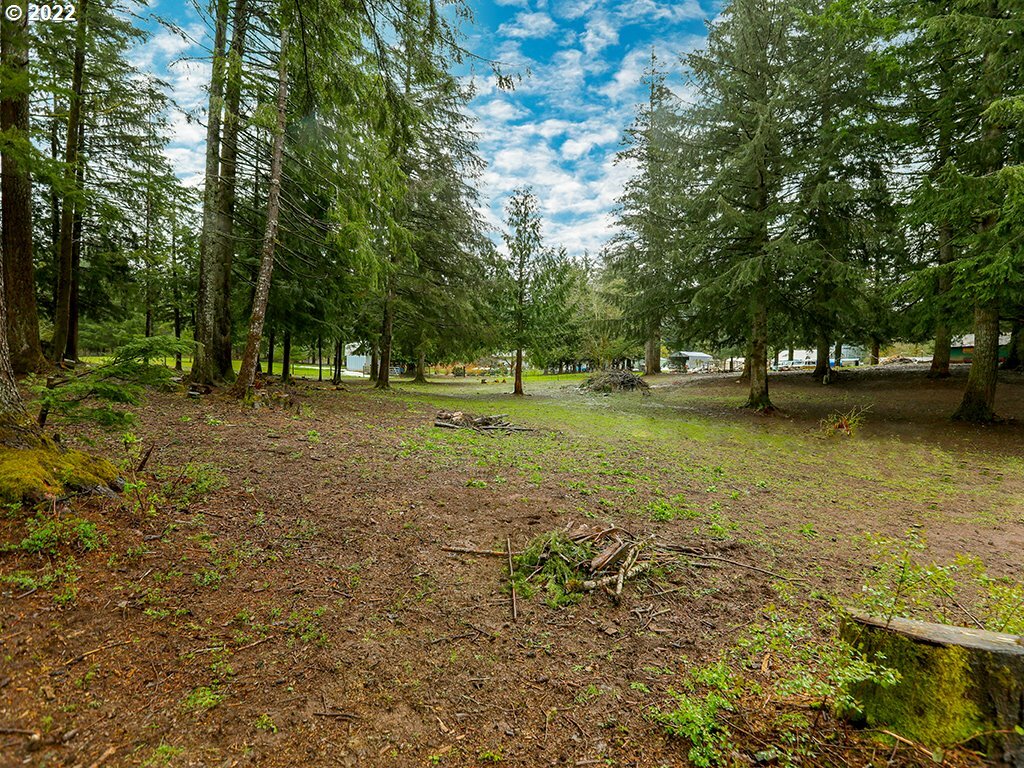 Property Photo:  0 Skye Rd  WA 98671 