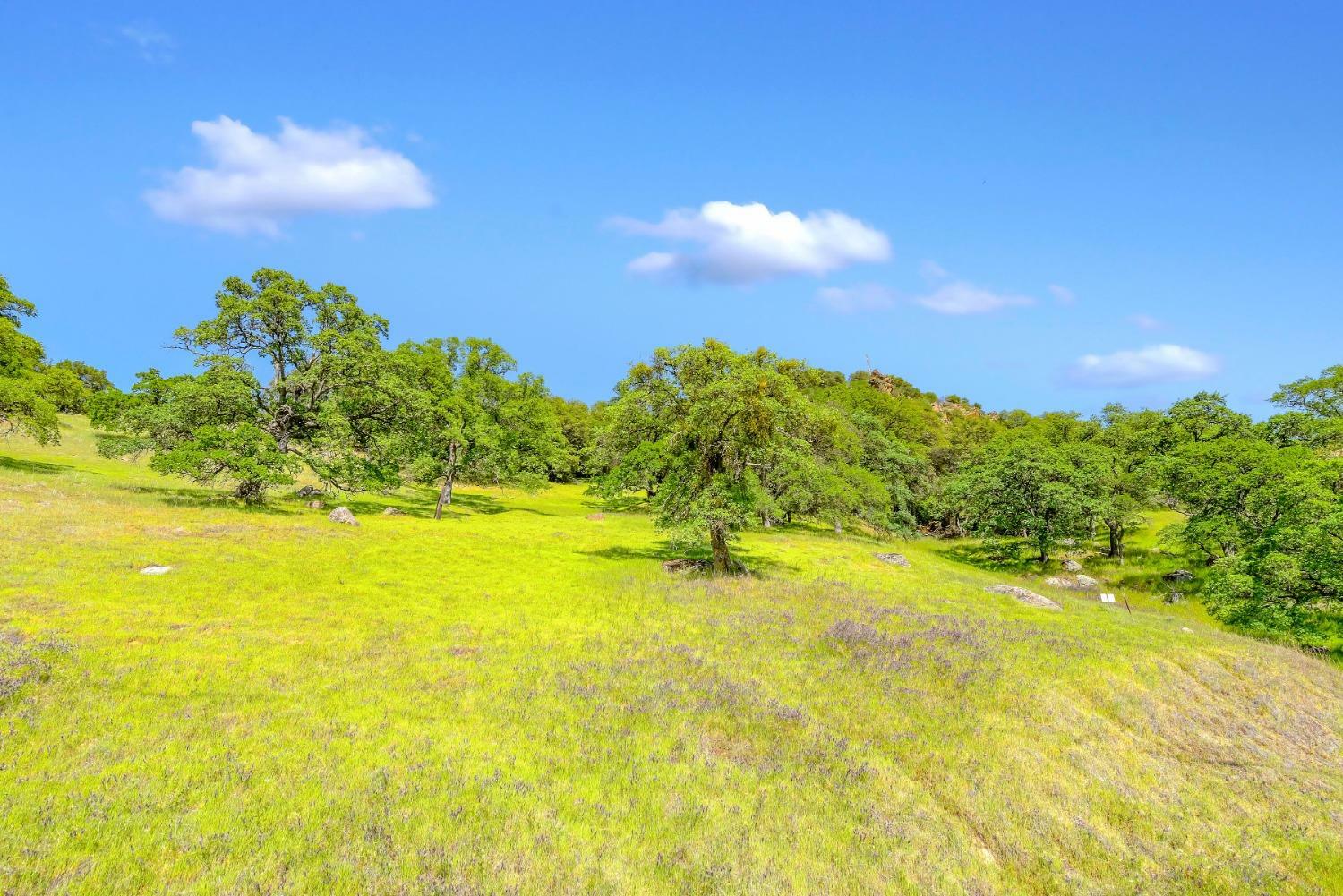 Property Photo:  9000 W Butte Mountain Lane  CA 95642 