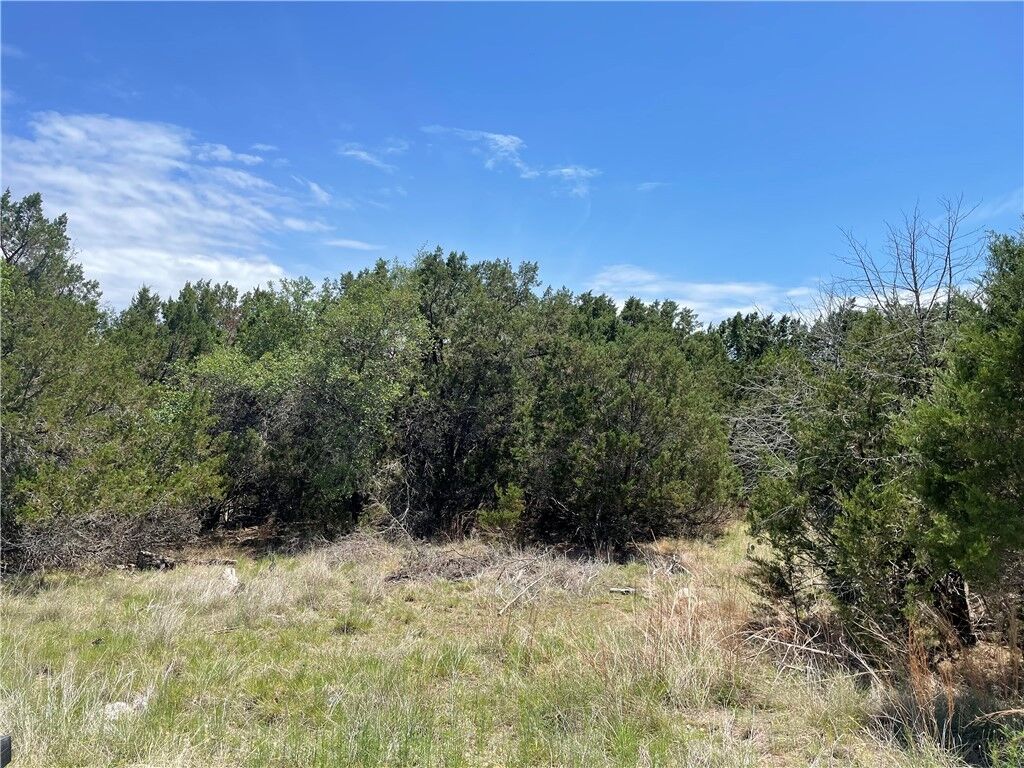 Property Photo: 21107 Santa Paula Avenue TX 78645