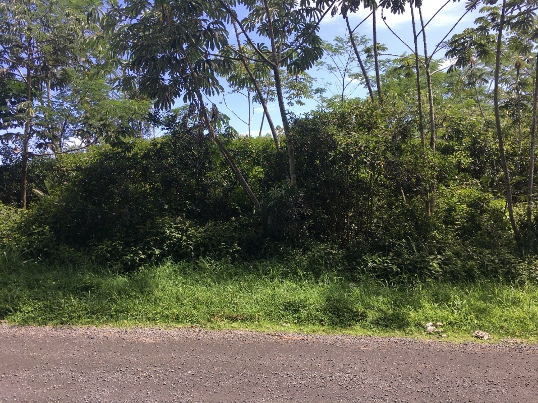 Property Photo:  14th Ave (Laamia)  HI 96749 