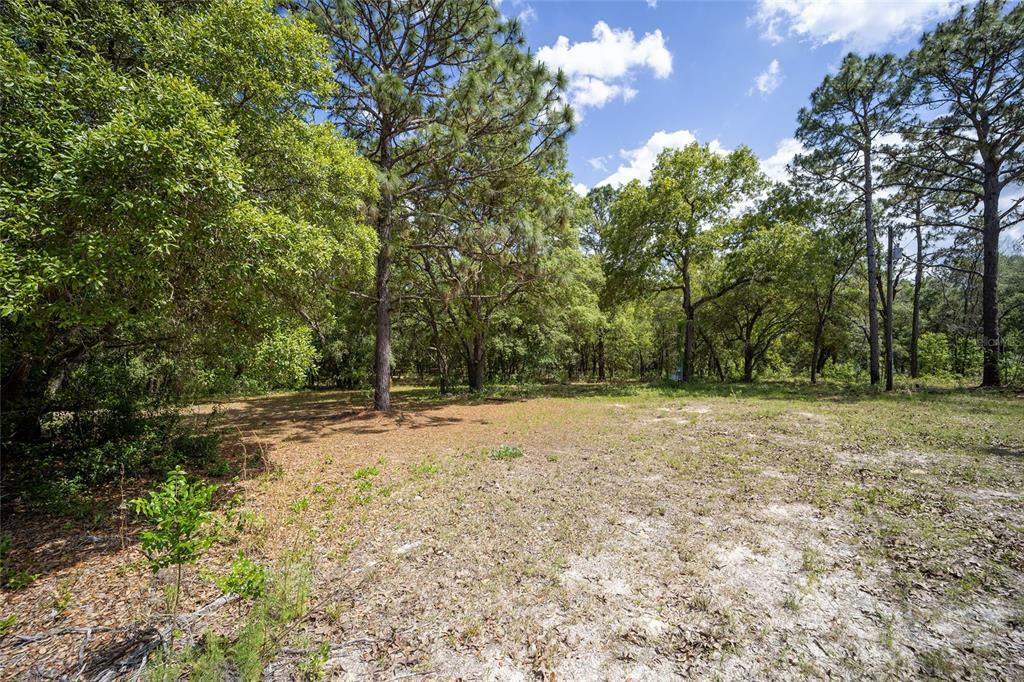 Property Photo:  462 E Shawna Court  FL 34442 