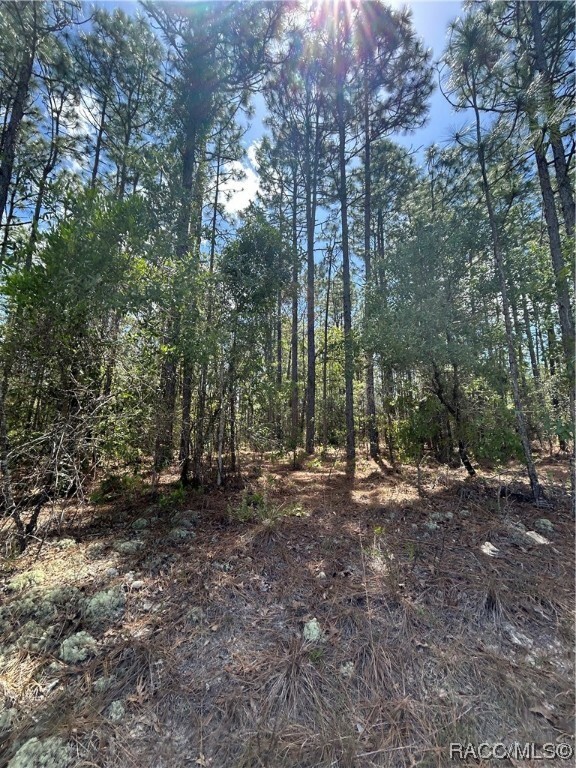 Property Photo:  1448 W Donner Drive  FL 34434 