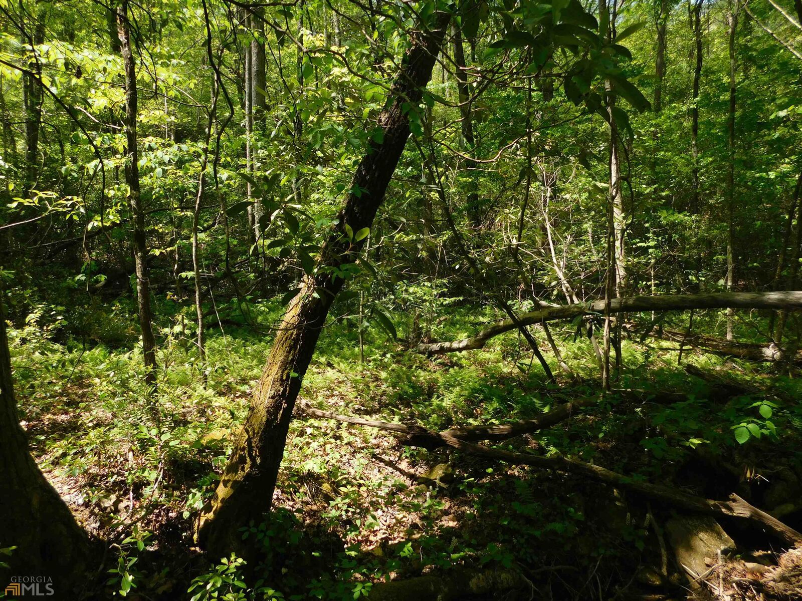 Property Photo:  0 Alpine Drive  GA 30571 
