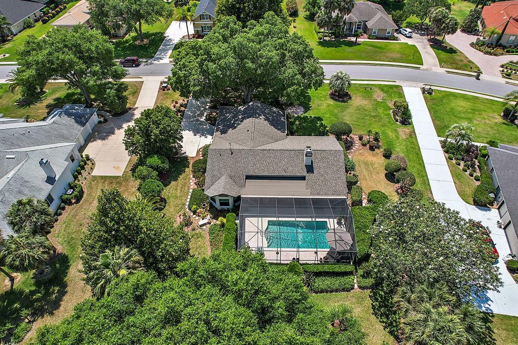 Property Photo:  39234 Treeline Drive  FL 32159 